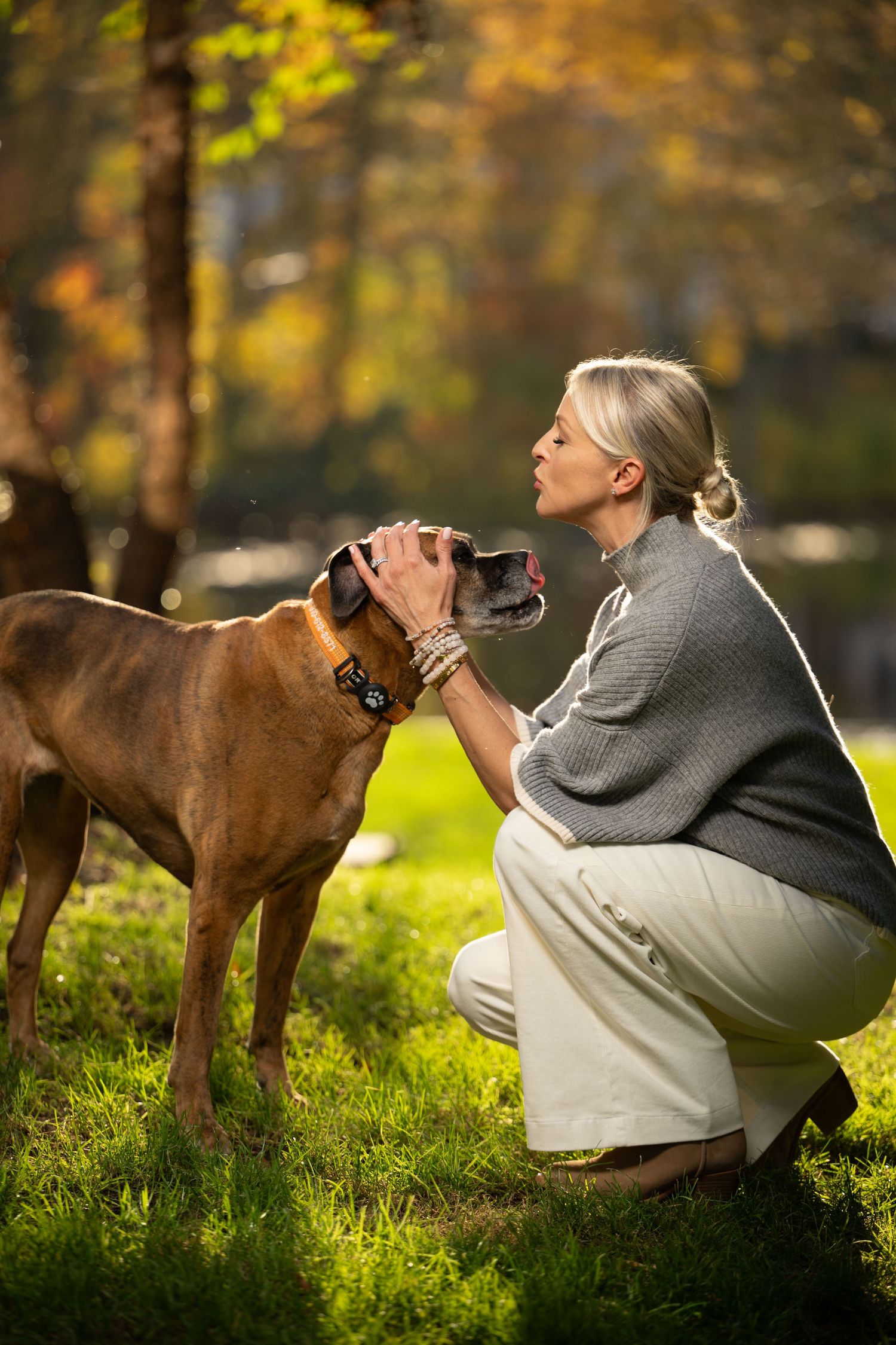 A woman crouches to kiss her brown Boxer dog in a sunlit autumn park with golden foliage.