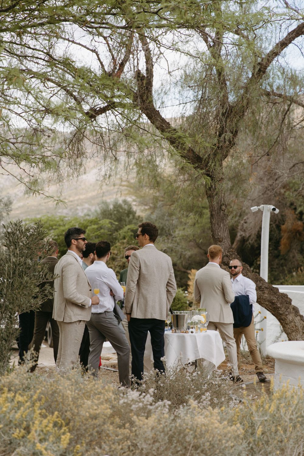 Wedding guests in beige suits gathered under trees at outdoor cocktail hour.