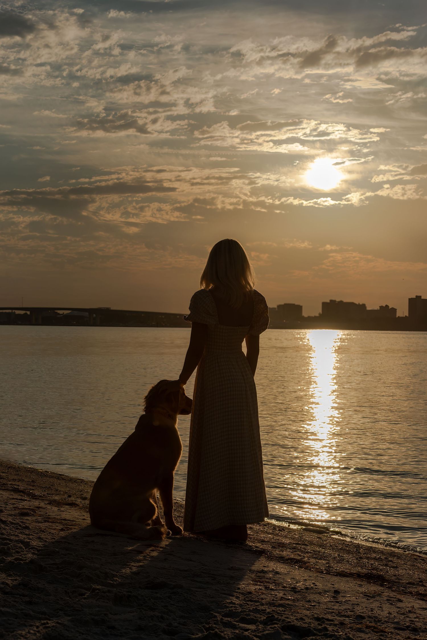 Pet portrait photographed in golden morning light by Blue Merle Photography