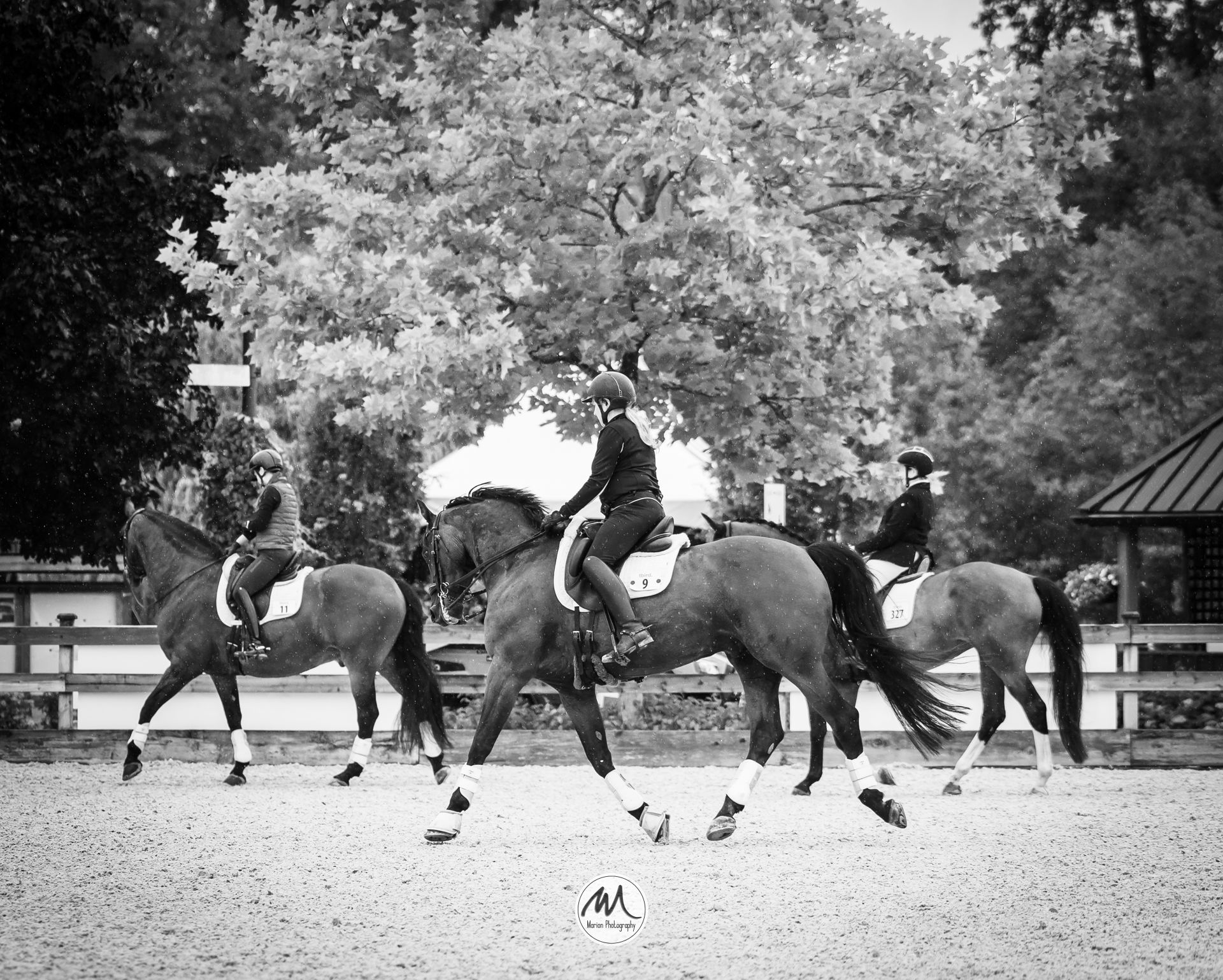 Three riders on horseback perform dressage in an outdoor arena, captured in elegant black and white photography.