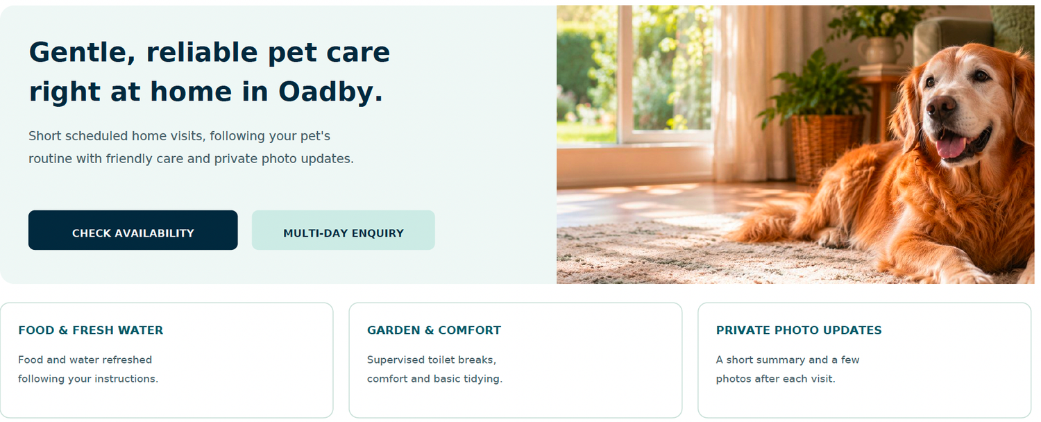 A golden retriever relaxes on a sunlit porch, representing gentle and reliable in-home pet care services.