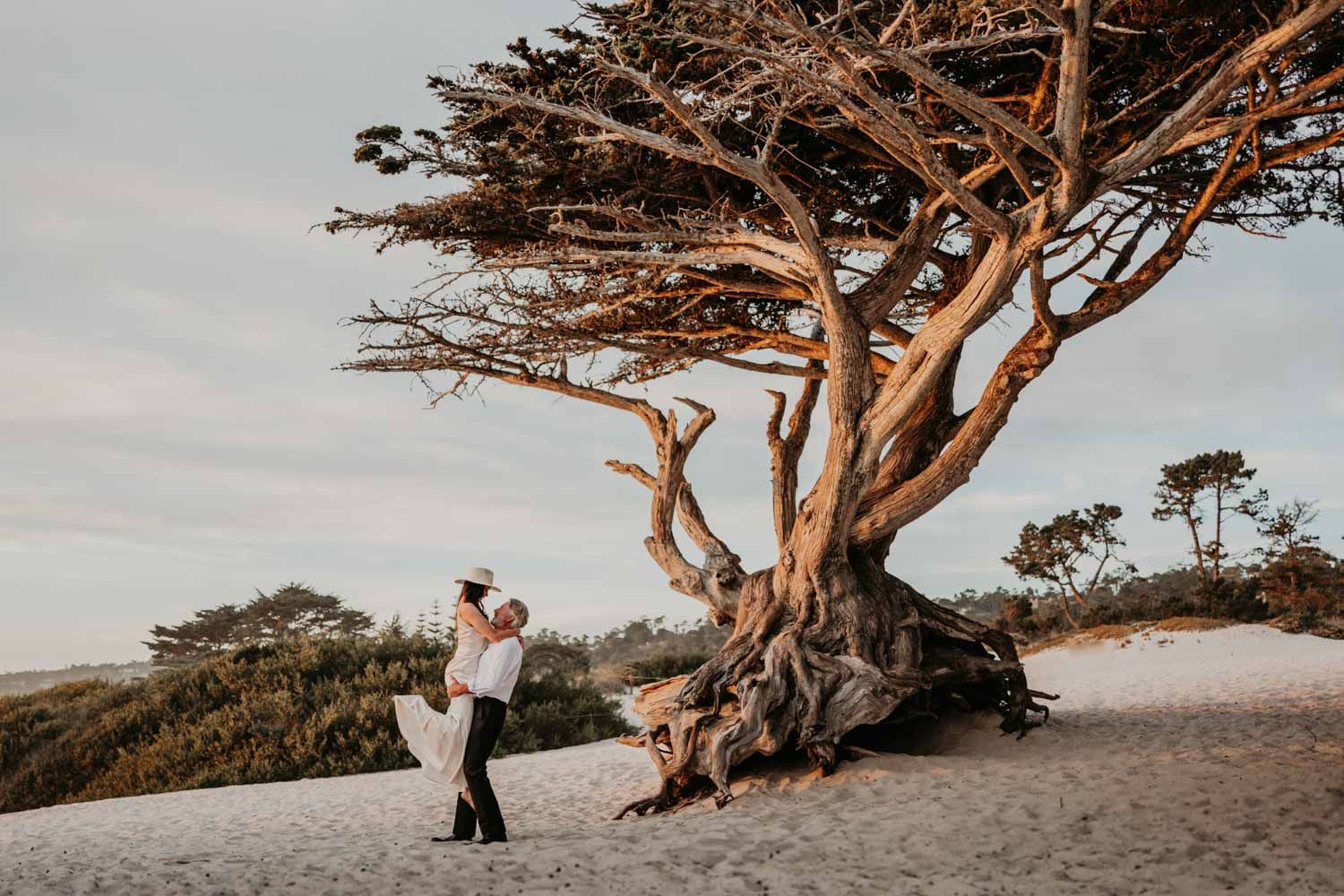 a groom lifts up his bride next to a tree at carmel beach in California