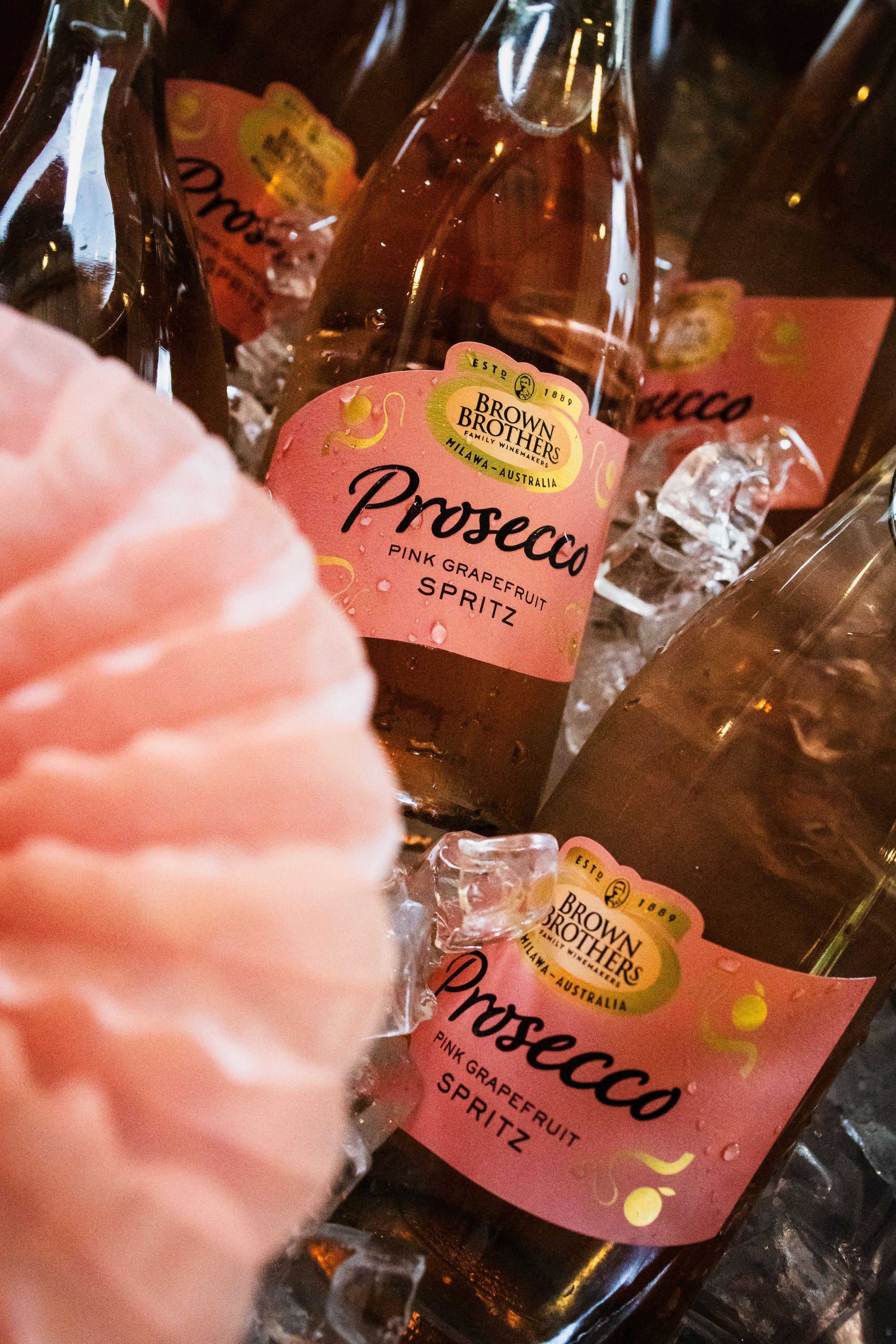 Brown Brothers Pink Grapefruit Prosecco Spritz bottles chilling on ice with pink decorative paper fan.