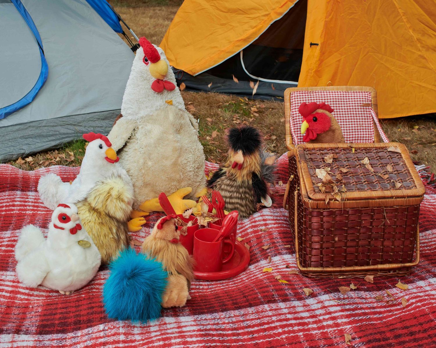 Chicken family on a fall picnic while camping.