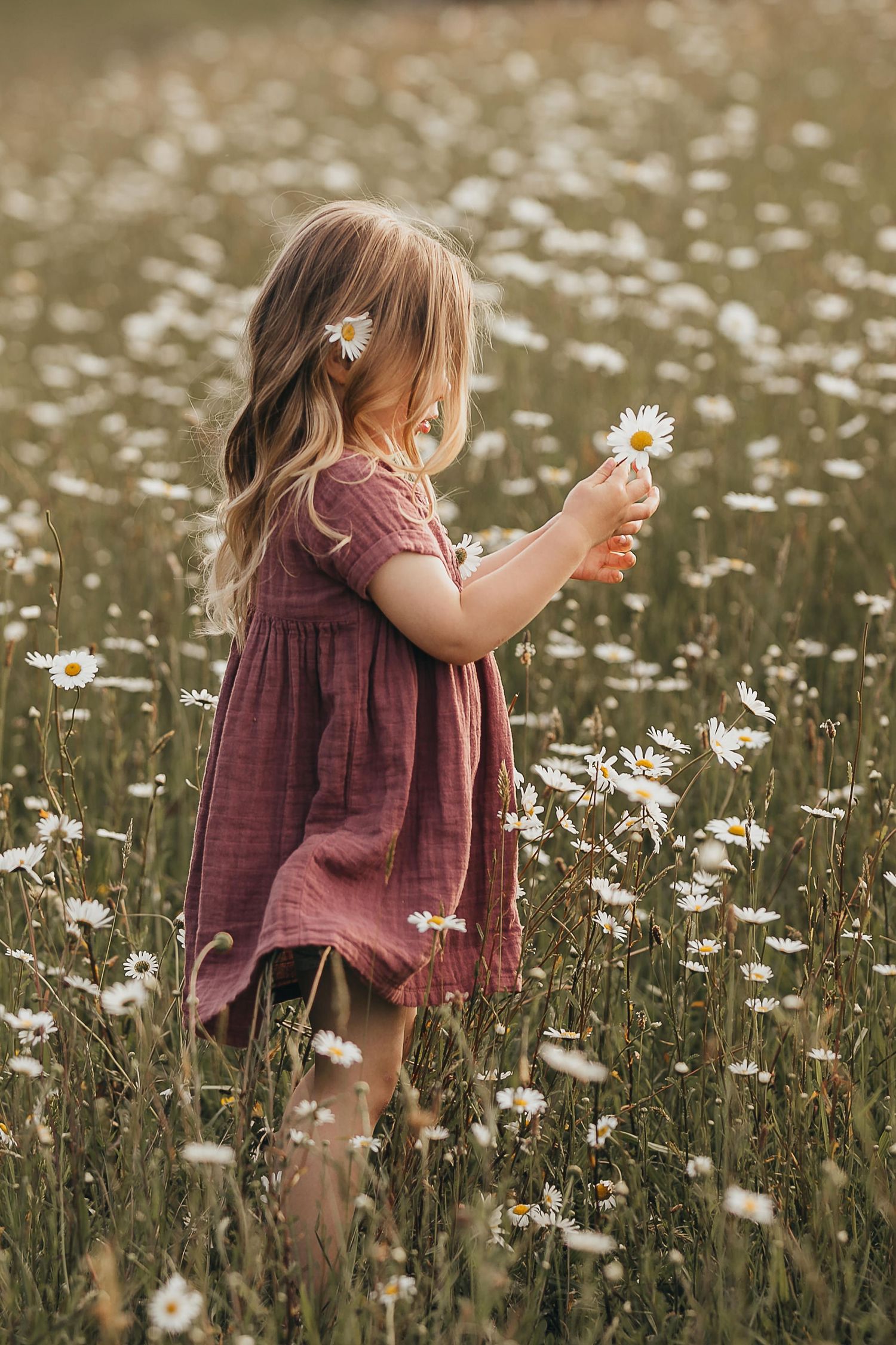 Waikato Family Photographer, Hamilton Family Photographer, Te Awamutu Family Photographer, Te Kuiti Family Photographer