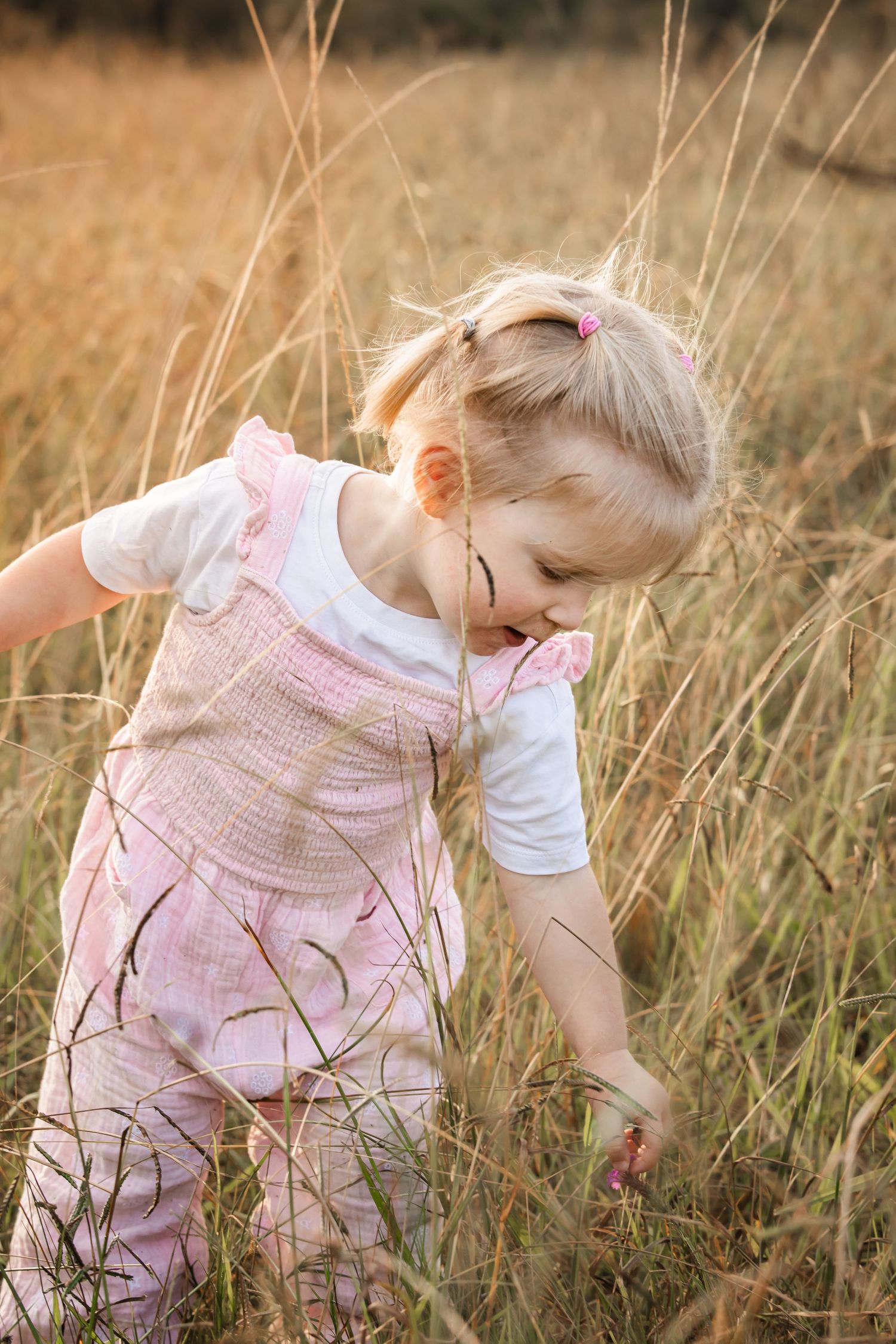 Toddler girl in a pink romper and white shirt reaches down to pick a flower in tall golden grass at sunset in Rouse Hill Regional Park.