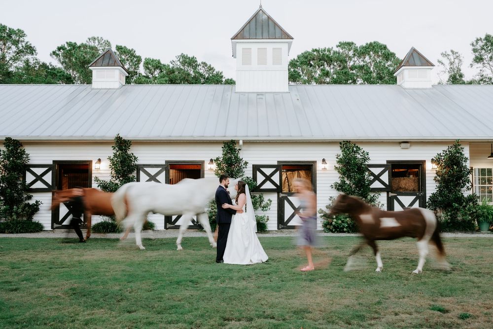 Bride and groom pose at a white horse stable venue while horses walk past on a lush green lawn.