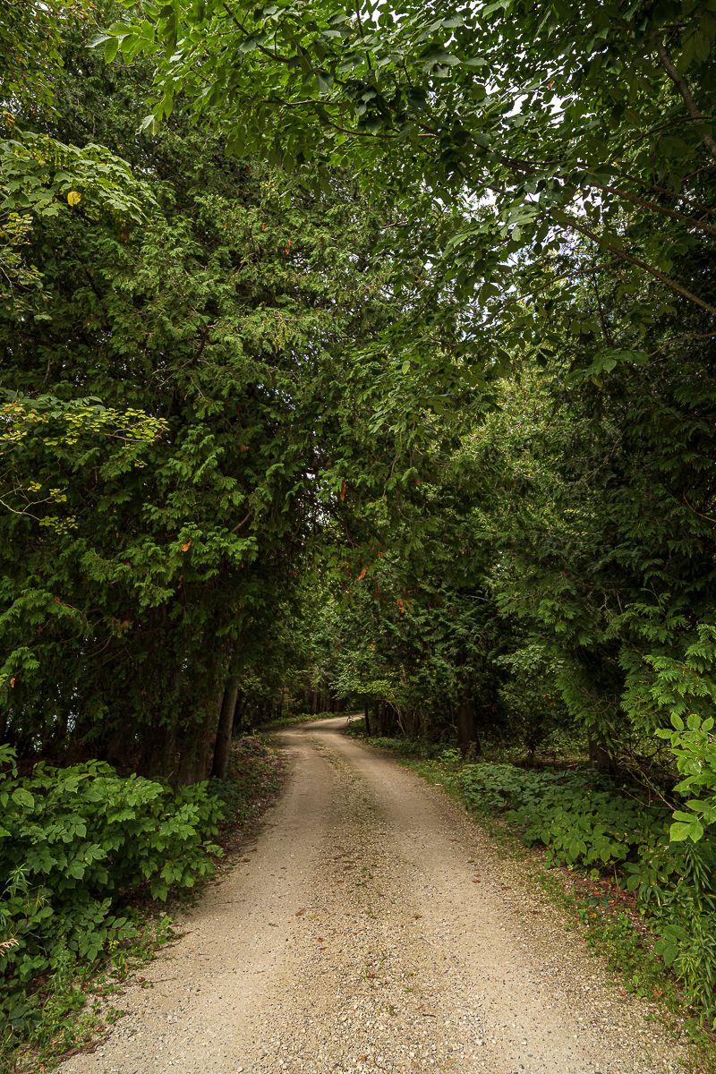 headlands-international-dark-sky-park-mackinac-mackinaw-city-michigan-rental-airbnb-wedding-ceremony-reception-vacation-photographer-photogr
