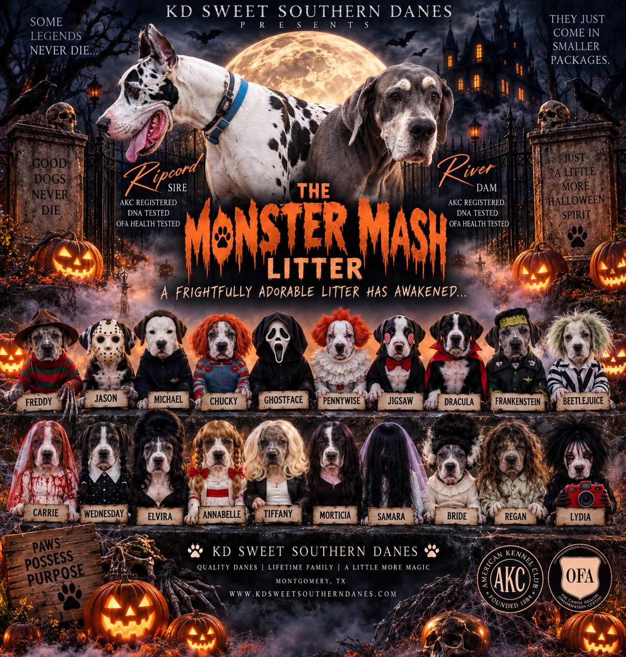 Halloween-themed Great Dane litter announcement poster titled Monster Mash Litter featuring puppies dressed in costumes by KD Sweet Southern