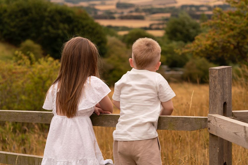 Two children leaning on a wooden fence overlooking a scenic countryside landscape on a sunny day.
