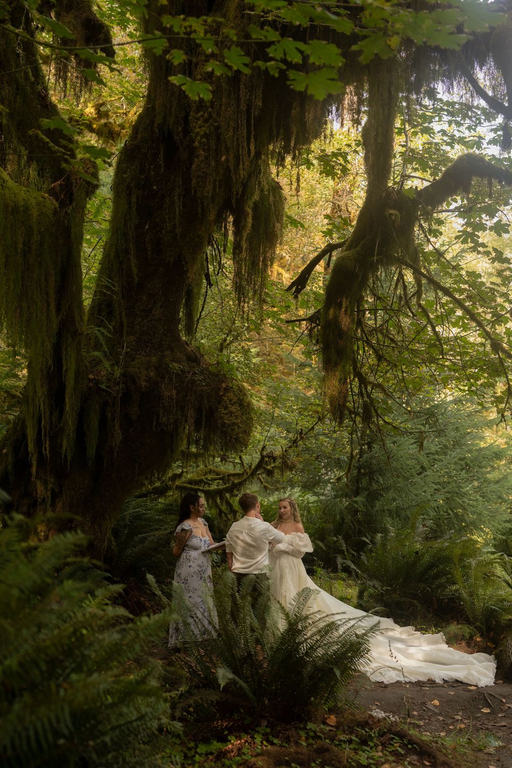 Bride and bridesmaids stand beneath a moss-draped tree in a lush green forest during an enchanting outdoor wedding ceremony.