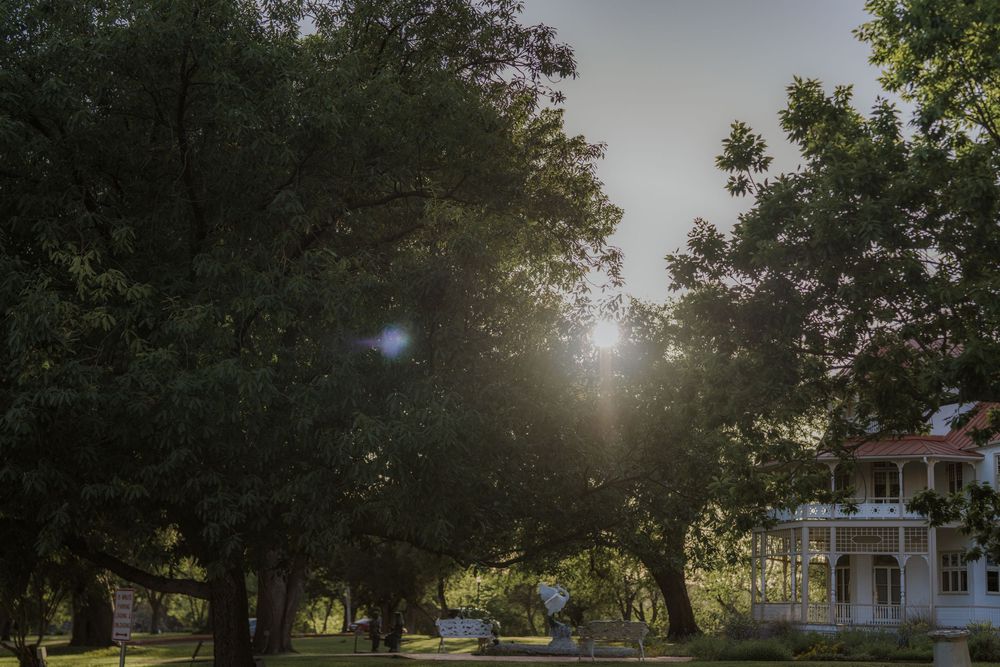 Sunlight streams through trees on a historic property with white buildings visible in background.