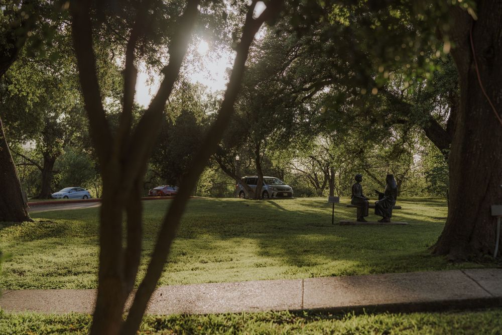 Sunlit garden path winds through shaded trees and landscaped grounds.
