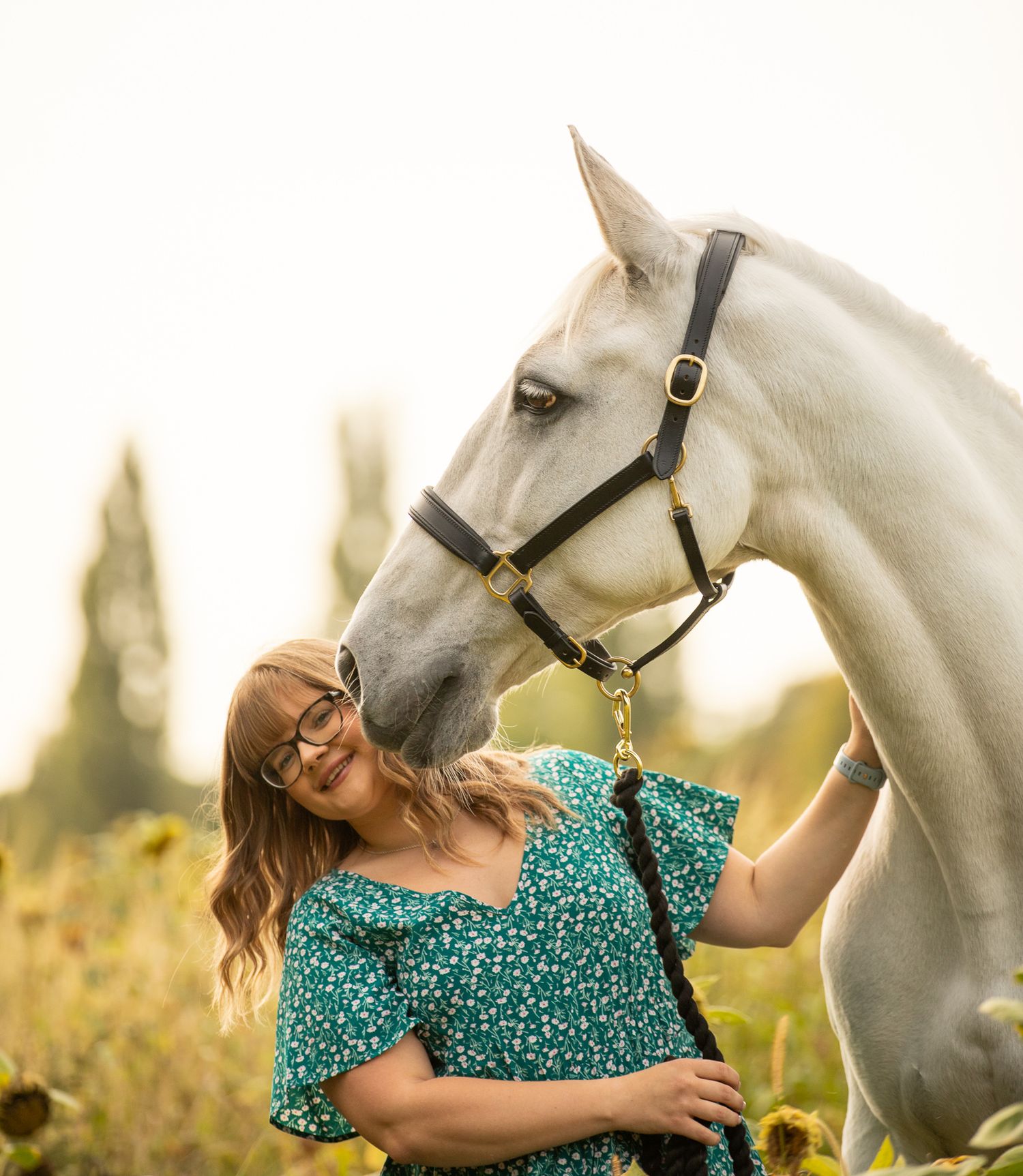 White horse and rider walk through a vibrant field of blooming sunflowers on a sunny summer day.