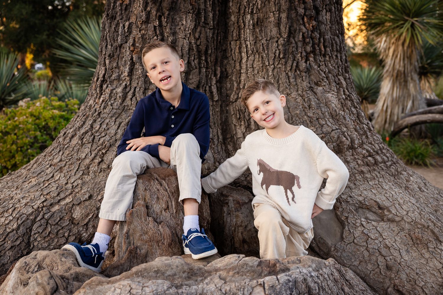 Two boys pose in front of a tree in the Bay Area during their family photography session in Palo Alto