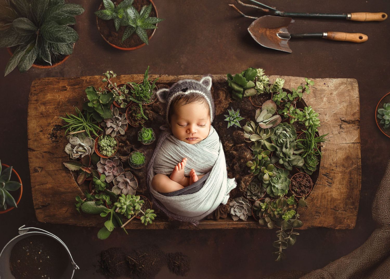bebe con gorro de mapache duerme dentro de un bowl grande de madera el tema es jardin o greenhouse