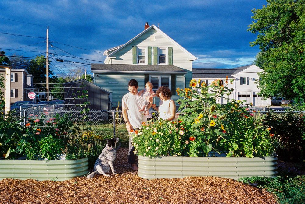 Family of 3 stands together in their garden looking down together at their black and white dog with lush growth and late afternoon sunshine.