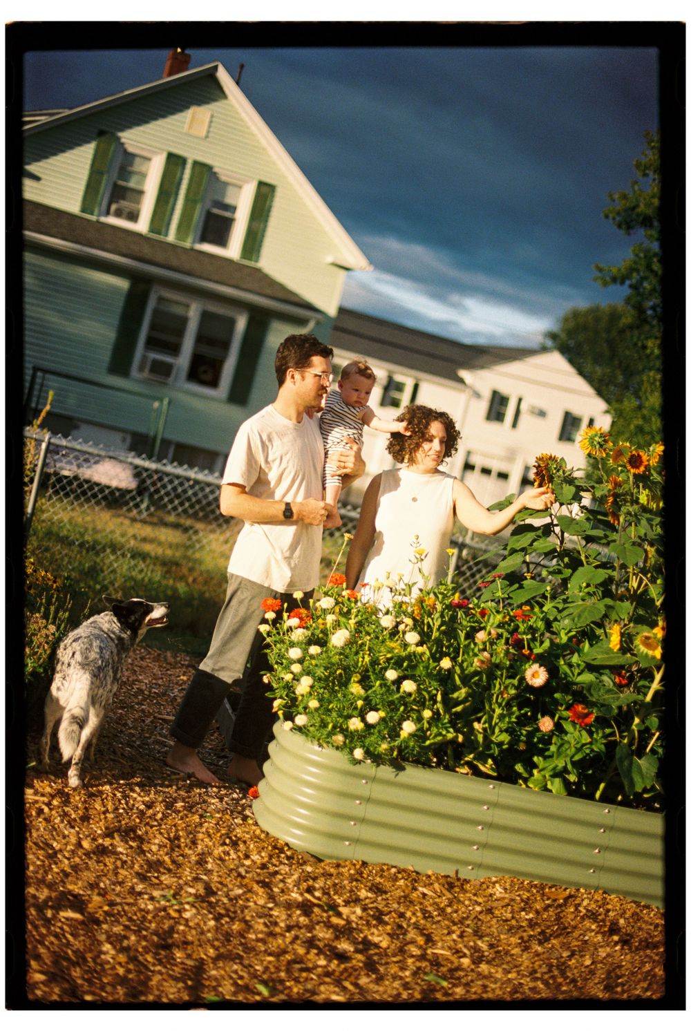Family of three admires their home grown flower garden in the late afternoon sunshine after a rain storm on 35mm color film.