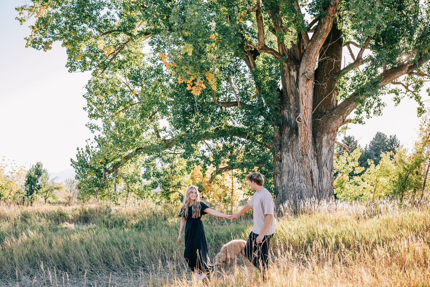 Couple in field in utah with dog Family photos with dog