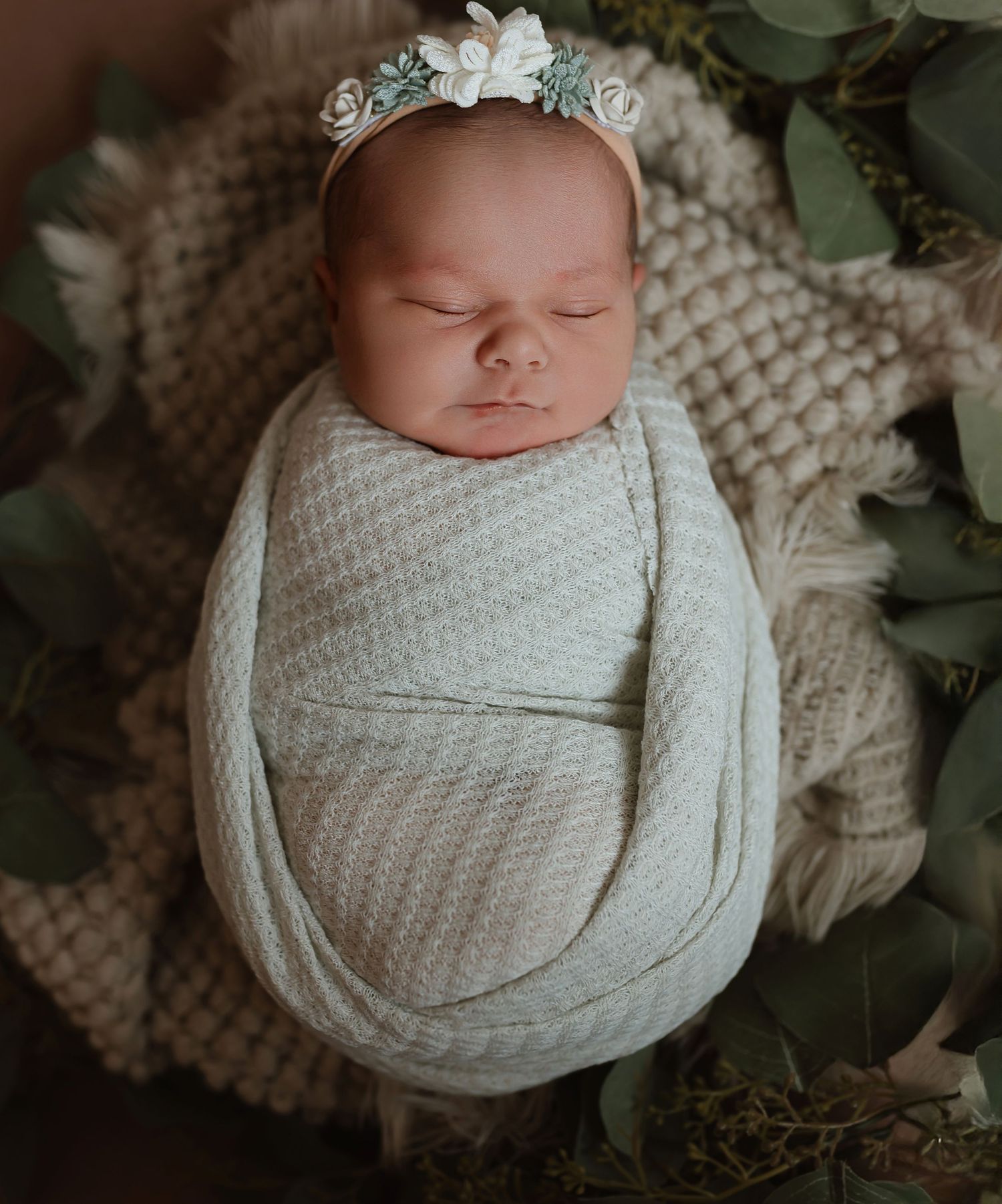 Colorado Springs Photographer.