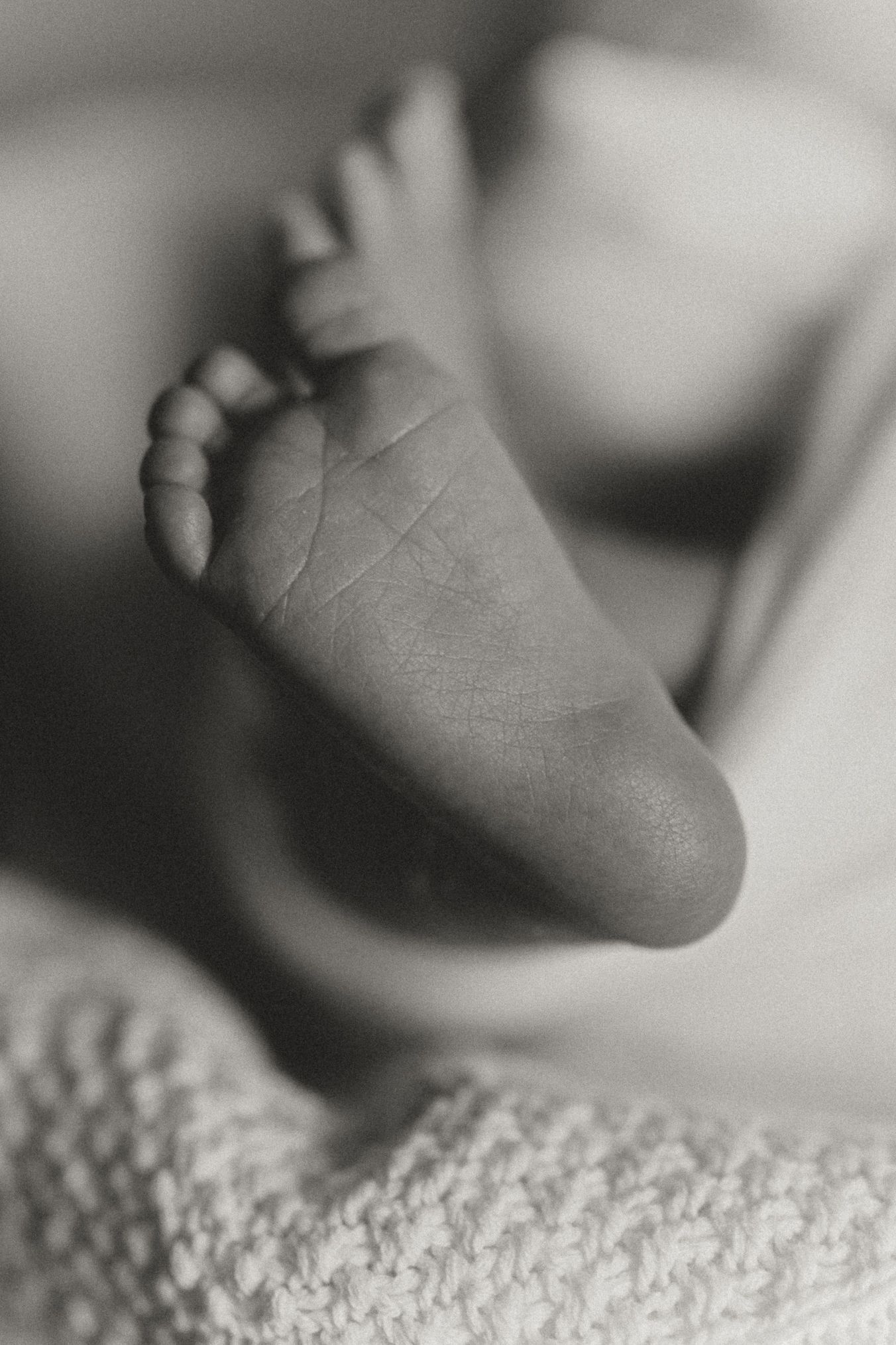 Close-up black and white photo of tiny newborn foot on knitted blanket. Colorado Springs Photographer.