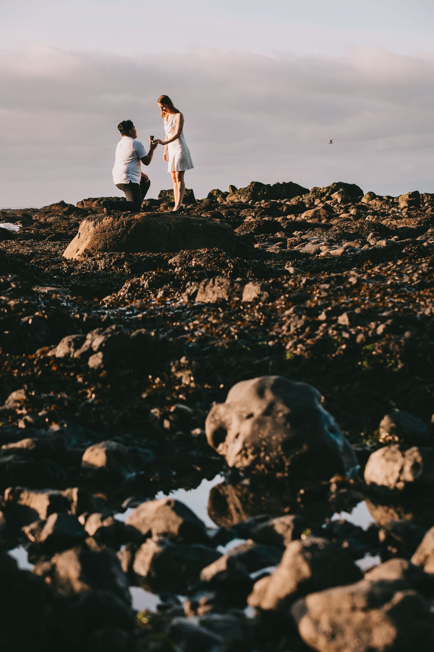 Rocky beach in foreground. A couple getting engaged in background he is on one knee holding her hand. Clouds behind them.