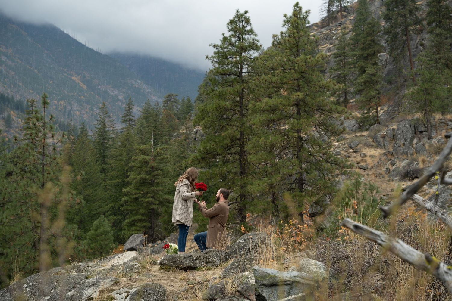 Two people stand on a rocky outcrop overlooking a misty mountain forest landscape with tall evergreen trees.