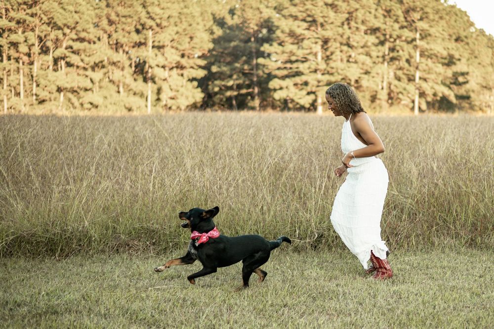 A black dog and person in white dress run playfully through a golden field during sunset.