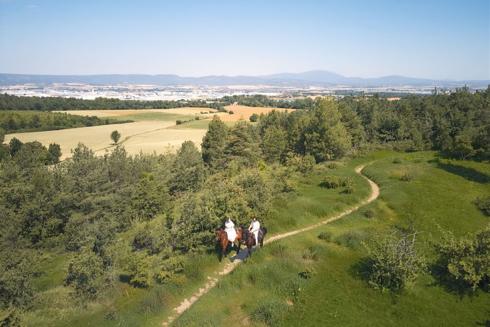 sesion de fotos con caballo, de pareja in hipica, vitoria gasteiz, bolbao, donostia, san sebastian, alava, bizkaya, BOAfoto