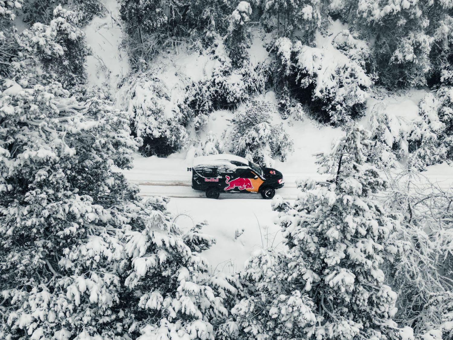 Snow-covered evergreen trees create a winter wonderland landscape beside a road with a red car.