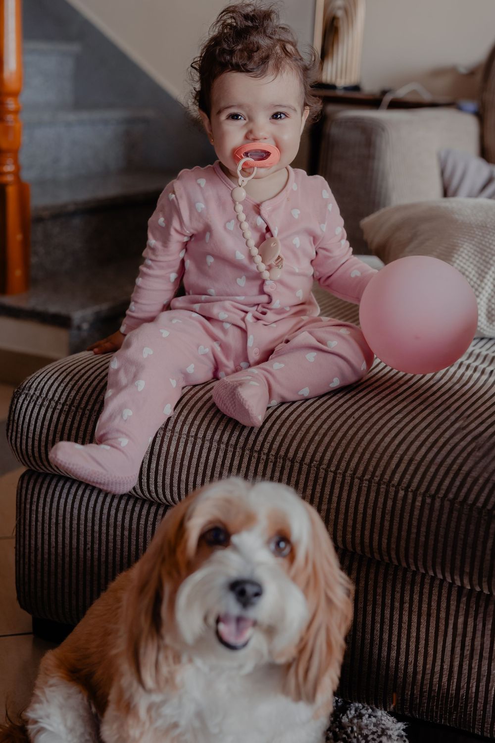 A happy dog with a wagging tongue sits on a striped couch near pink decor.