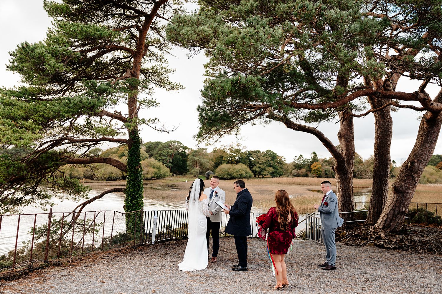 A small wedding ceremony takes place under towering pine trees on a coastal bluff overlooking the ocean.