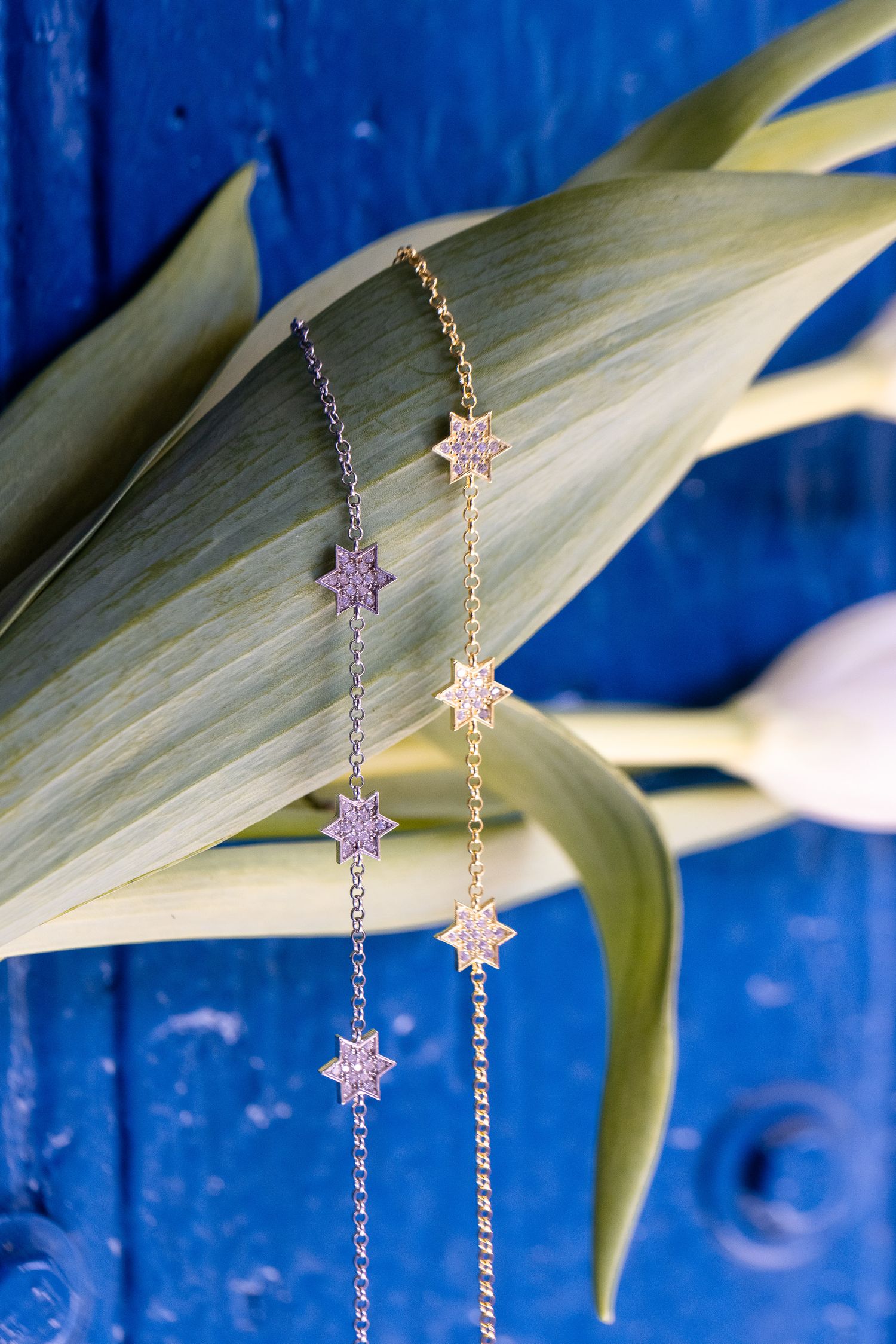 Delicate star-shaped crystal earrings hanging from gold chains against a blue background with green plant leaves.
