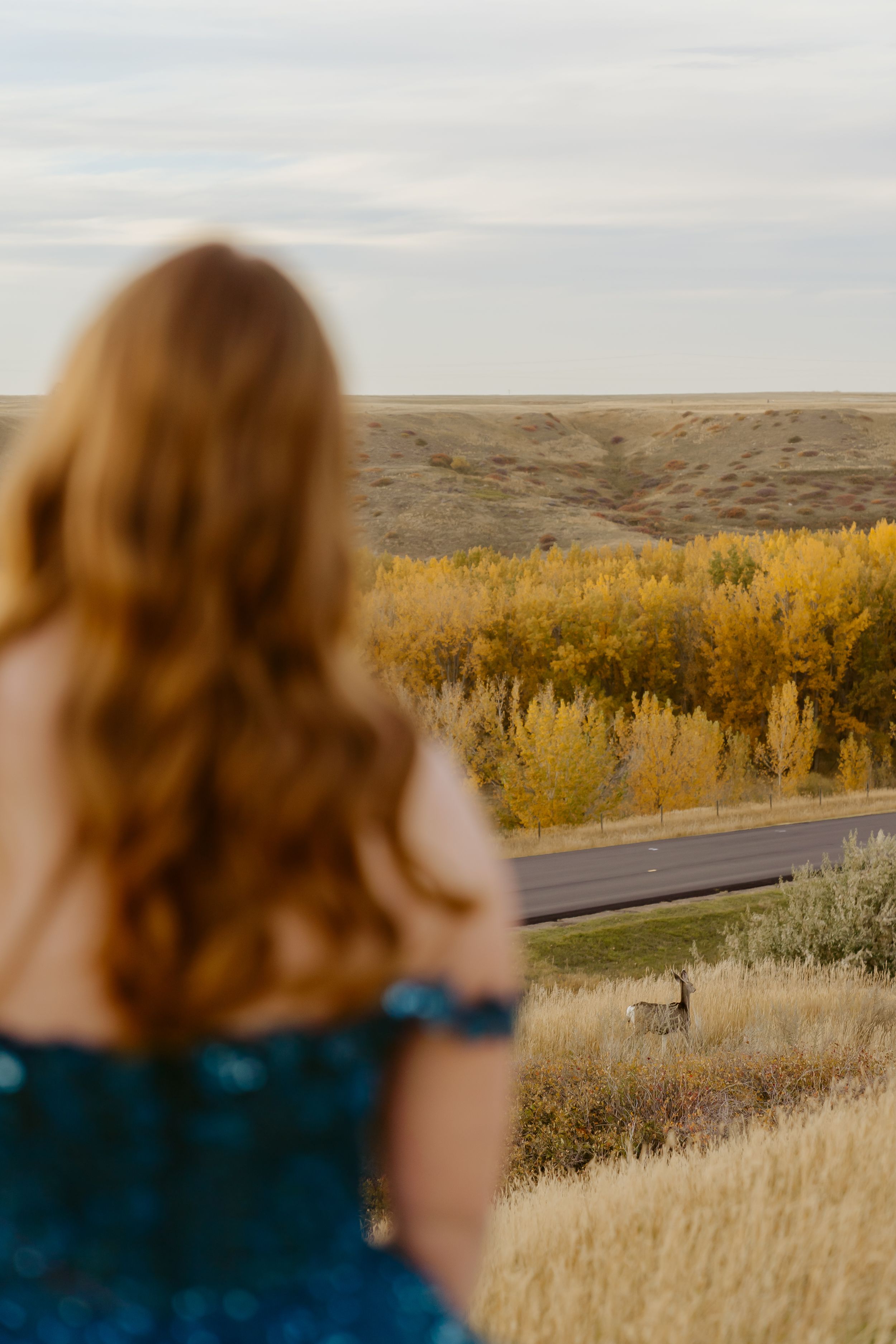 A blue formal dress silhouette stands against an autumn landscape with a winding road below.