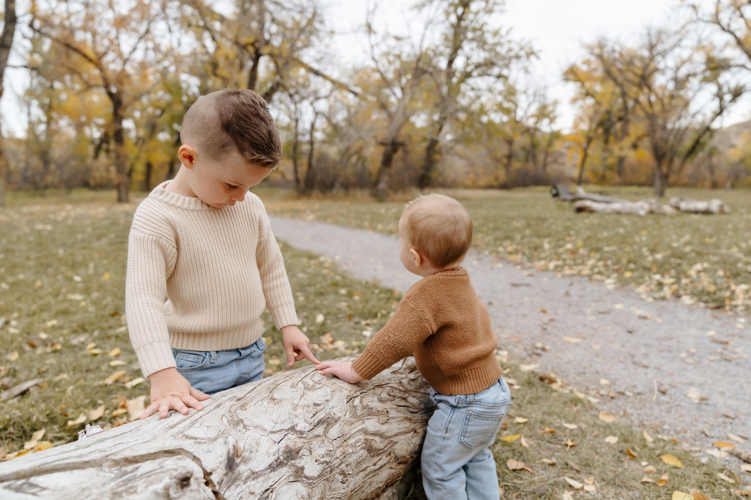 Two people sit together on a fallen log amid autumn foliage.