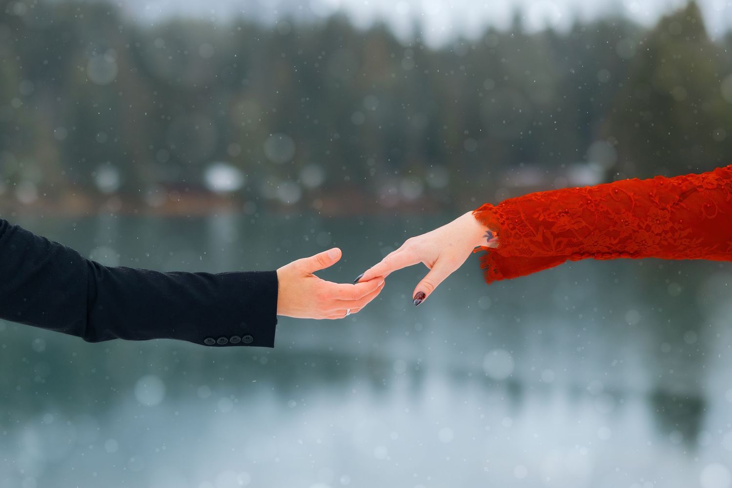 A hand holds a small red-breasted robin perched on their finger against a snowy winter landscape background.
