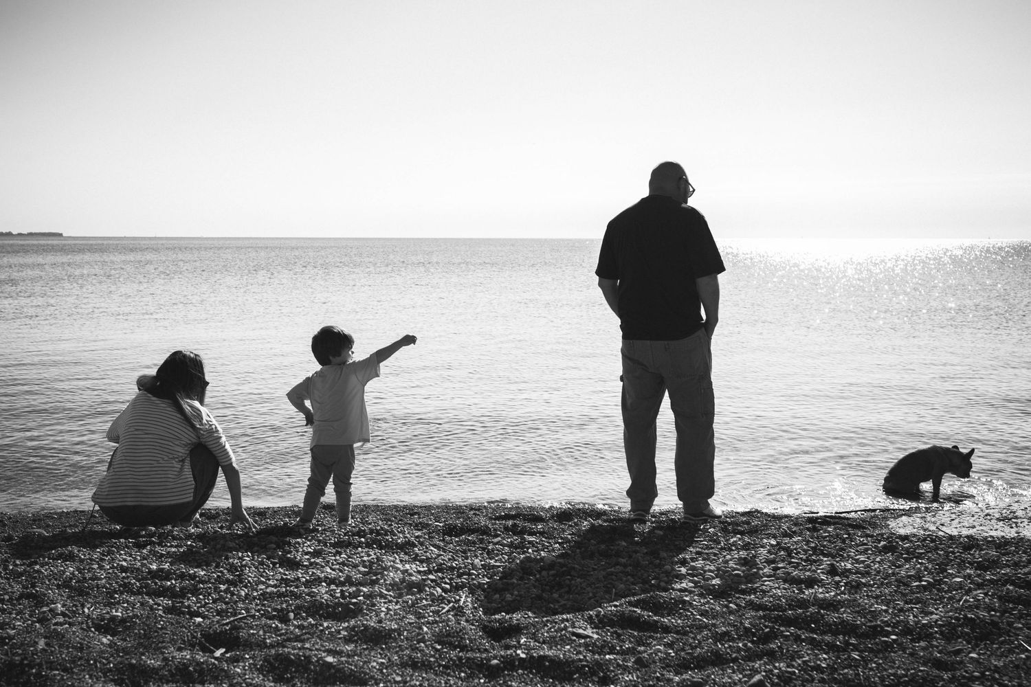 A silhouetted family and their dog stand at the beach during sunset while a child points toward the horizon.