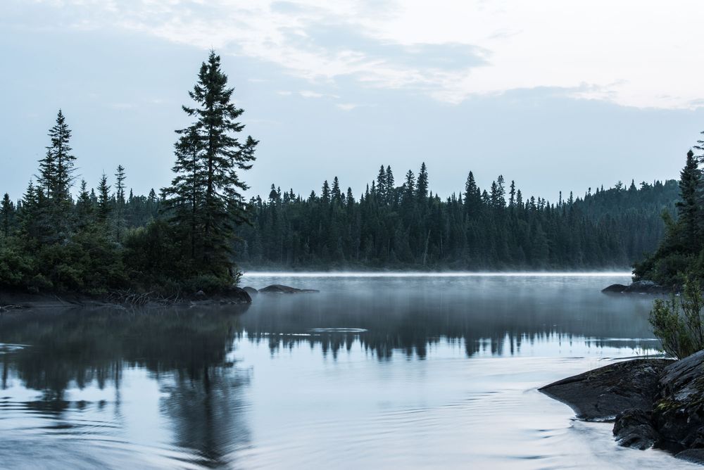 Serene lake landscape with evergreen trees reflected in calm waters during twilight.