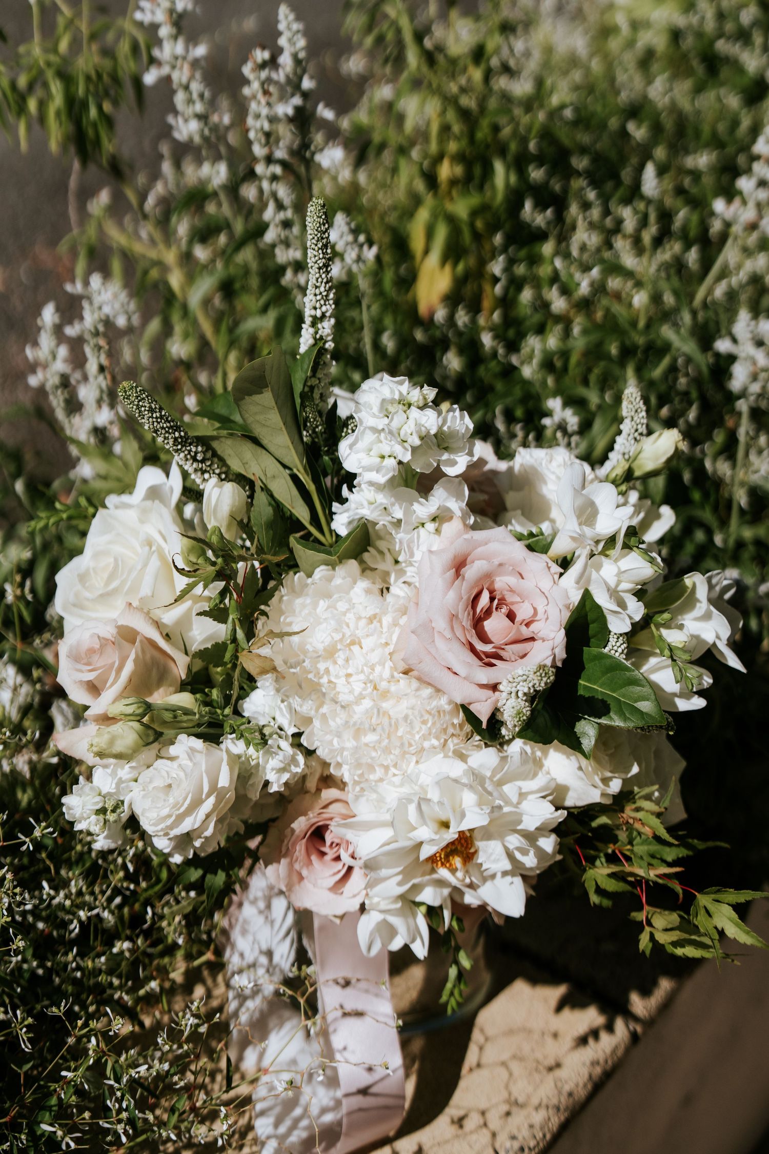 Sunshine Coast Wedding Photographer, Maleny Photographer, Montville Photographer, Noosa Photographer, Mooloolaba Photographer
