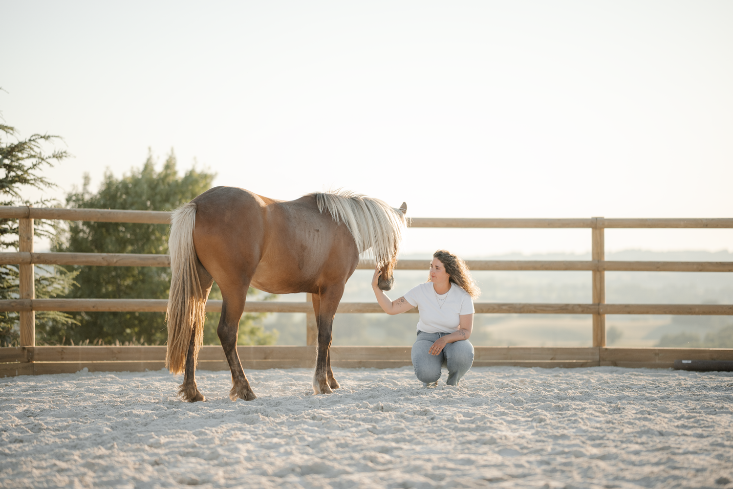 Chevaux couché de soleil femme prairie forêt
