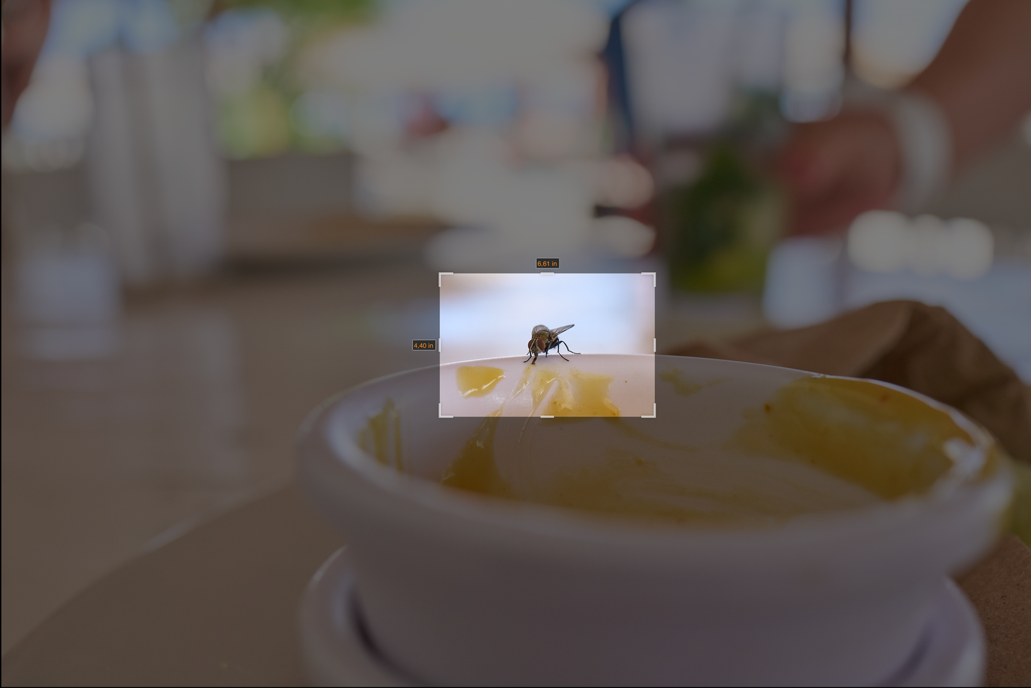 Sony RX1 R review voorbeeld MACRO crop