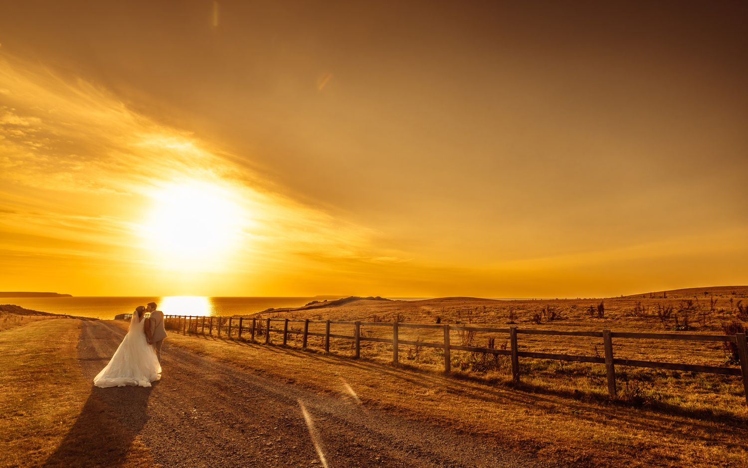 A stunning panoramic sunset illuminates a desert highway stretching towards the horizon with golden light.