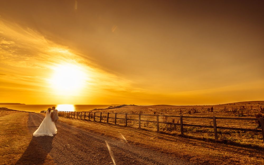 A stunning panoramic sunset illuminates a desert highway stretching towards the horizon with golden light.