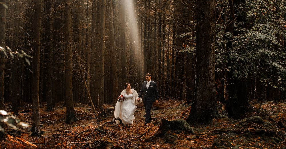 A moody forest wedding scene with tall evergreen trees and warm autumn lighting creating a romantic atmosphere.