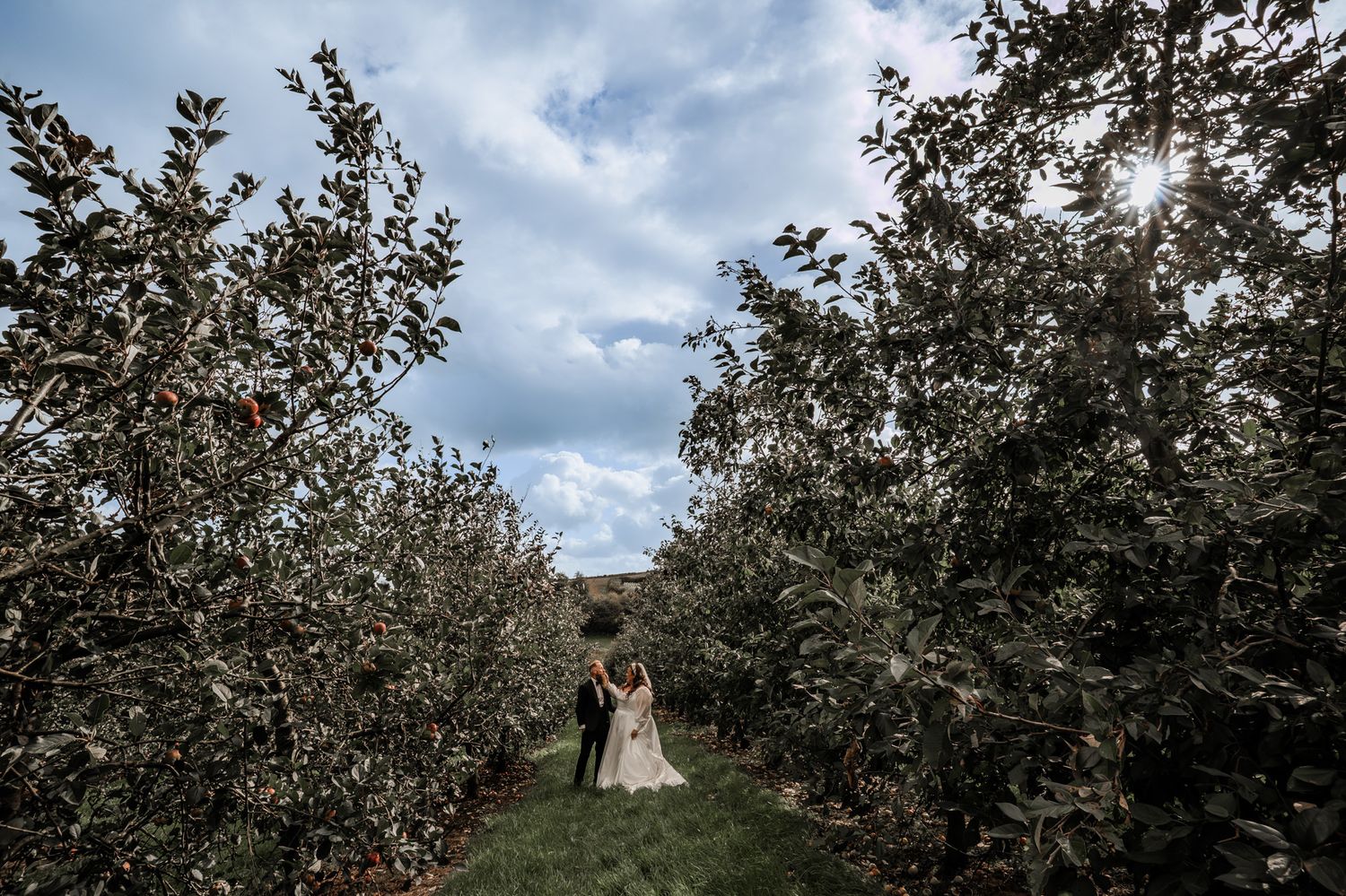 A row of apple trees stretches into the distance at an orchard on a cloudy autumn day.