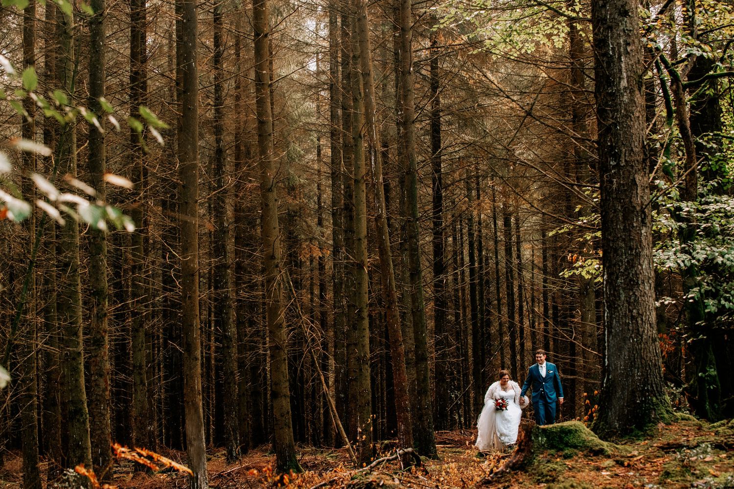 Moody forest path lined with tall evergreen trees creates a mystical atmosphere in natural lighting.