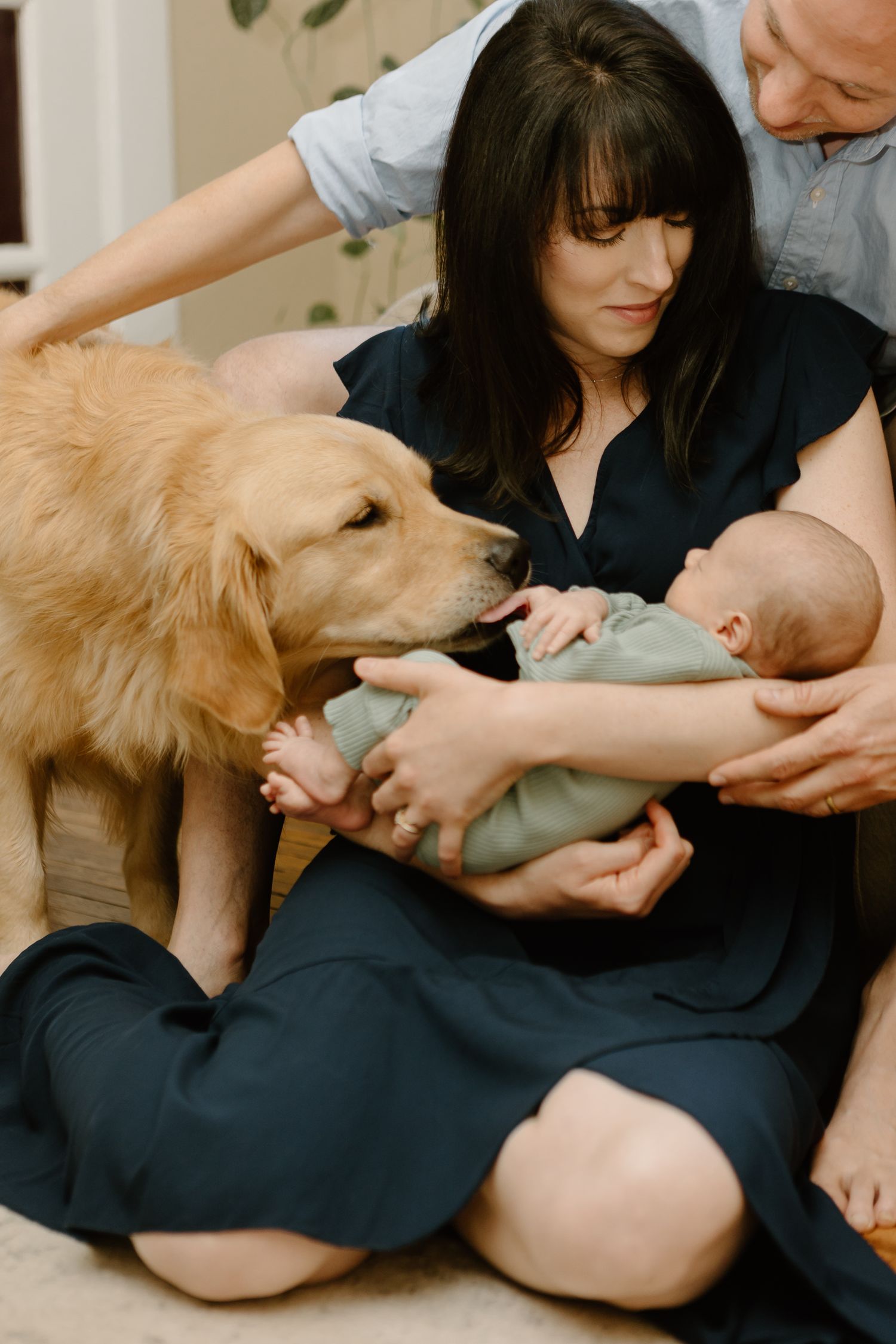 Golden retriever interacting with family on couch during intimate moment.