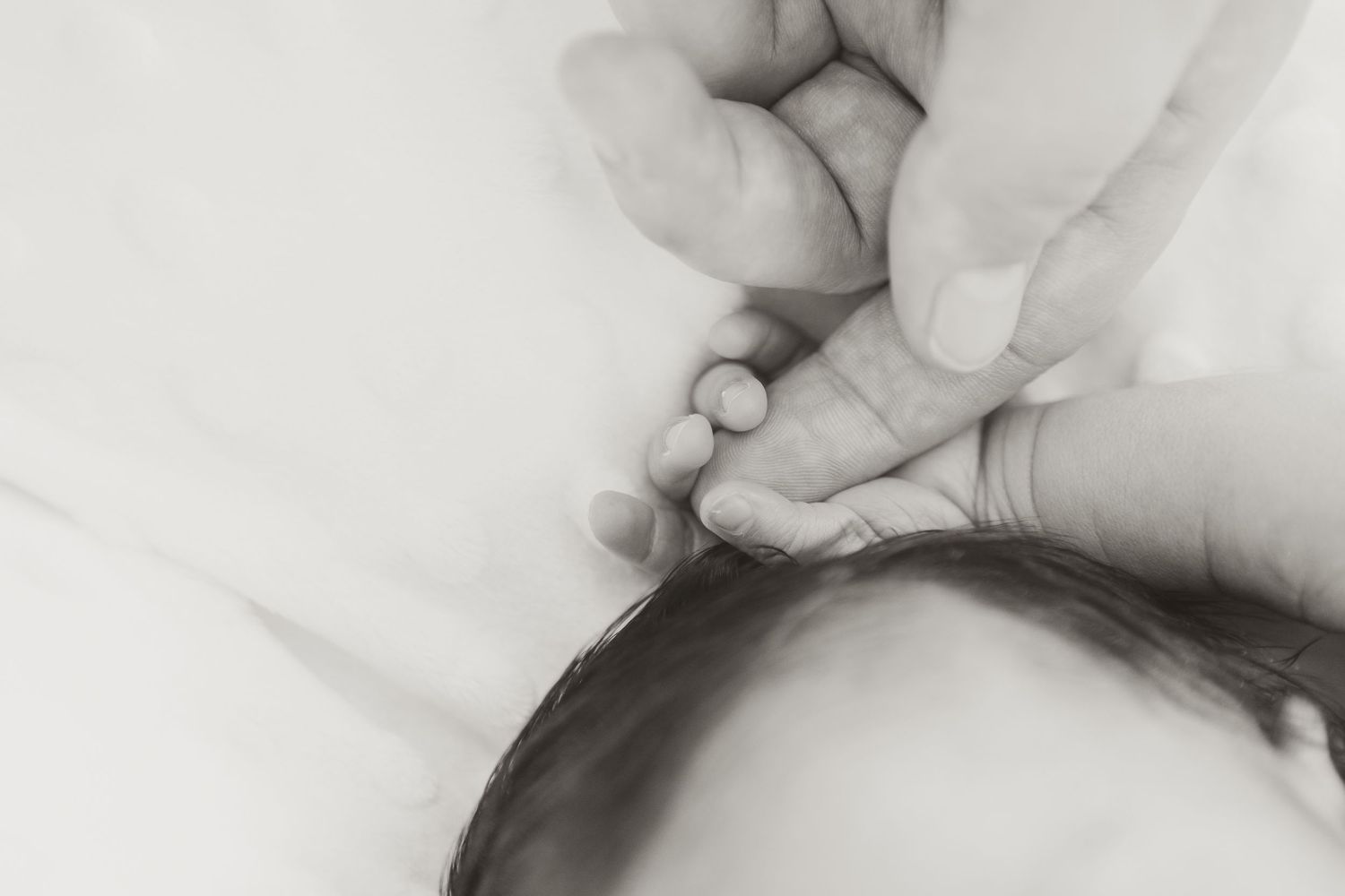 Black and white close-up of gentle hands touching in artistic composition.