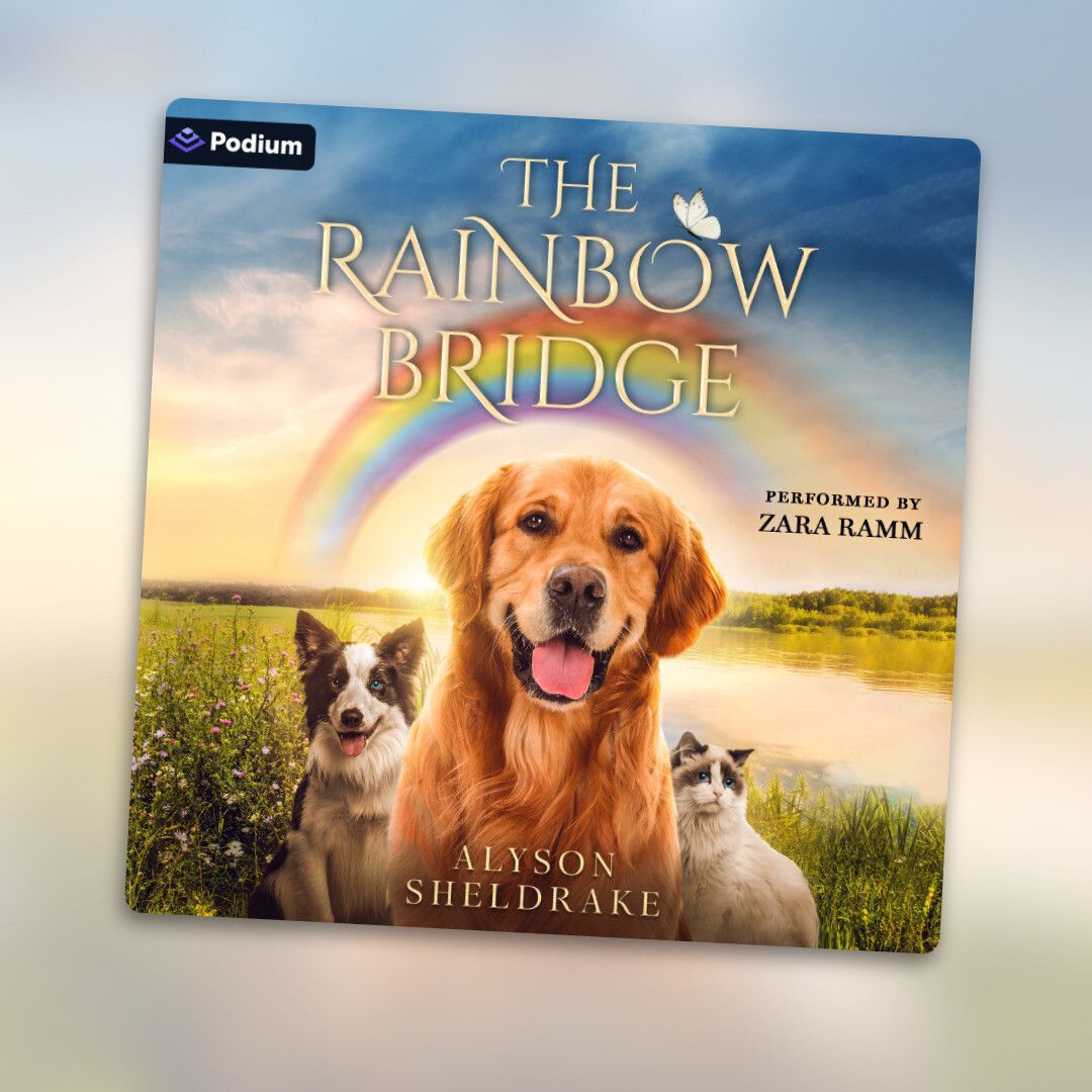 The Rainbow Bridge audiobook by Alyson Sheldrake performed by Zara Ramm on Podium.