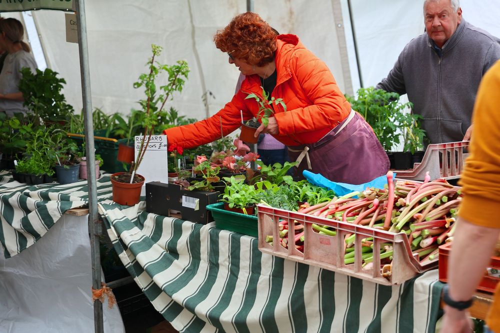 Woman in orange jacket selecting fresh vegetables at an outdoor farmers market stall with green striped tablecloth.